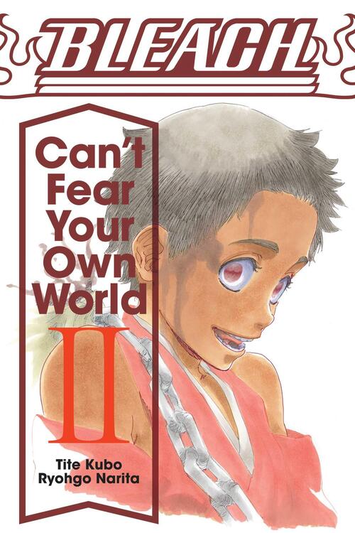 Bleach (novel) - Can't Fear Your Own World - [Selecteer Volume]