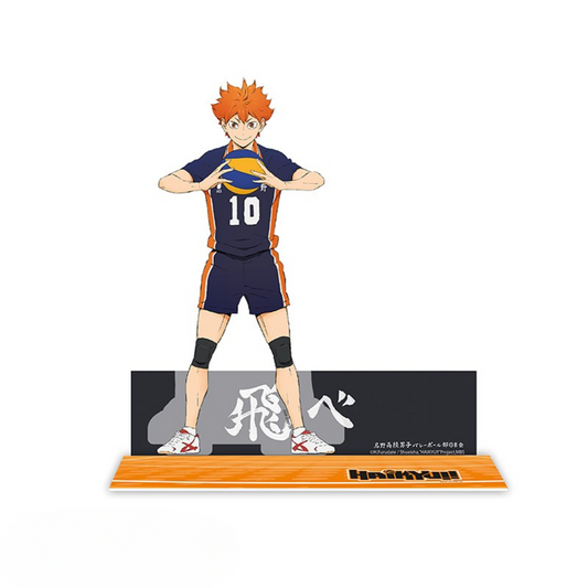 HAIKYU!! - Acryl® Hinata